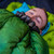 photo of a man sleeping with a green enigma, the enigma has a draft collar and is shut closed, the man is on a sleeping pad